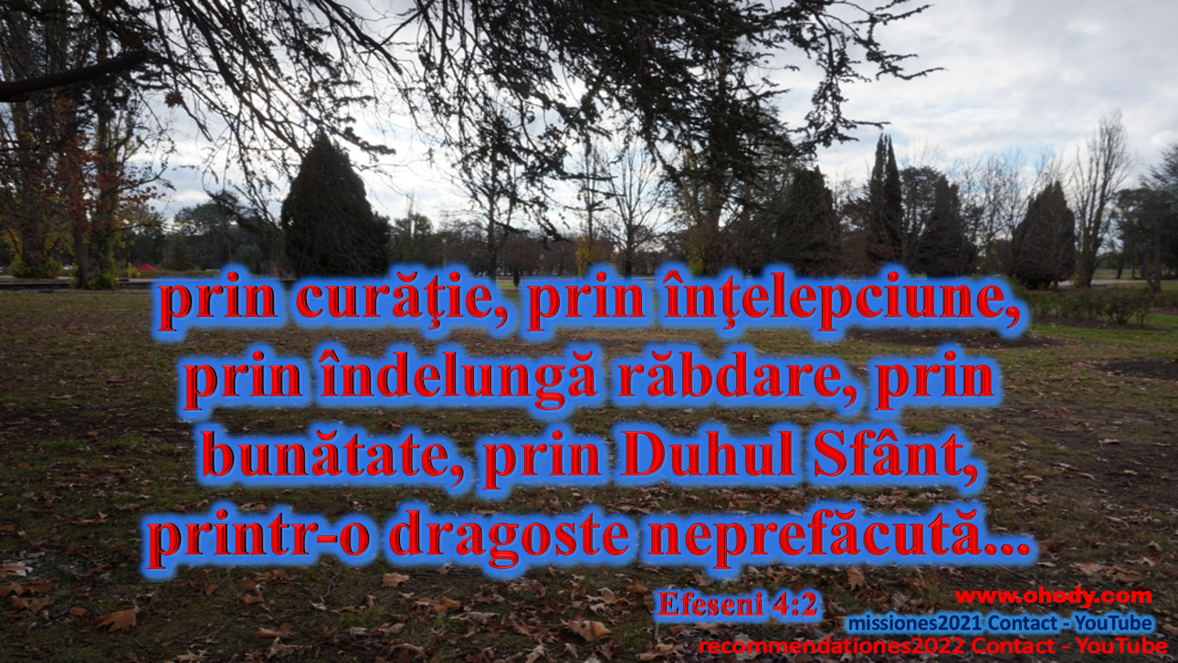 Sample Bible verse image